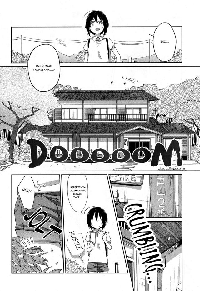 Tachibanakan Triangle Chapter 1 – halaman 7